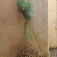 تور ۱۲ بقل نخ ۴۰محکم و خیر دار