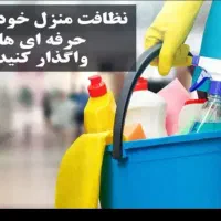 نظافتچی وسواس کاربلدوتروتمیزدر خدمتم