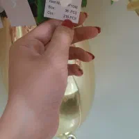 گل و گلدان دکوری|گل مصنوعی|تهران, جوادیه تهرانپارس|دیوار