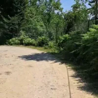 زمین باغی به متراژ ۴۵۵۰ متر با ویوی رویایی