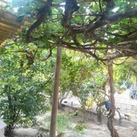 فروش_معاوضه حیاط دراسکو (میلان)