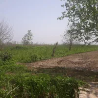 تهاتر و فروش 3000 خانه محوطه سنددار داخل بندرانزلی|فروش زمین و ملک کلنگی|بندر انزلی, سوسر|دیوار