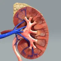 اهدا کننده زندگی