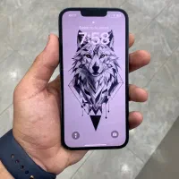 13 نرمال