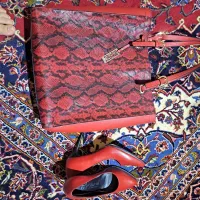 کیف و کفش مجلسی خارجی اصلا استفاده نشد