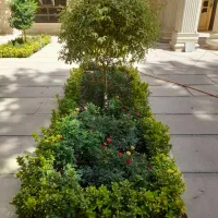 خدمات‌باغبانی‌در‌‌‌سراسر‌تهران|خدمات باغبانی و درختکاری|تهران, سهروردی|دیوار