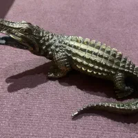 تمساح برنز وارداتی|کلکسیون اشیاء عتیقه|تهران, دانشگاه شریف|دیوار