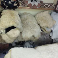 پوست گوسفند مرینوس ( خارجی )|صنایع دستی و سایر لوازم تزئینی|میانه, |دیوار