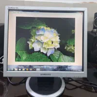 مانیتور مخصوص دوربین مداربسته|قطعات و لوازم جانبی رایانه|سلماس, |دیوار