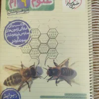 کتاب های مختلف پایه نهم خیلی سبز رشادت و...|کتاب و مجله آموزشی|تبریز, |دیوار