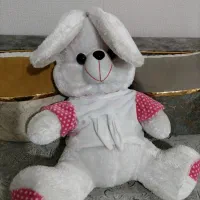 یک عددخرگوش بزرگ زیباتمیزدرحدنو|اسباب‌‌بازی|قدس, شهر‌قدس|دیوار