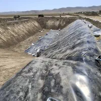 عایق استخر کشاورزی ژئوممبران|خدمات پیشه و مهارت|قزوین, |دیوار