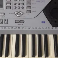 اورگ یا پیانو|پیانو، کیبورد، آکاردئون|مشهد, طلاب|دیوار