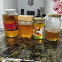عسل کوهی اصل اصل