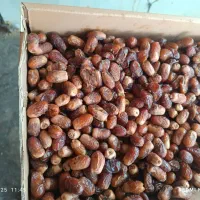 خرما تازه  از نخلستان های بلوچستان ارسال به تهران|خوردنی و آشامیدنی|تهران, گلستان (شهرک راه آهن)|دیوار