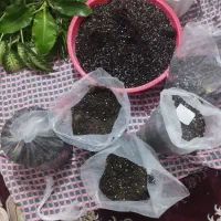 7عدد پلاستیک خاک برگ گل باهم