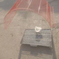 قفس|لوازم جانبی حیوانات|ارومیه, |دیوار