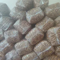 قصب پشتکوه