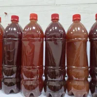 فروش. شیره انگور وسرکه انگور.سرکه سیب.آبغوره|خوردنی و آشامیدنی|تاکستان, |دیوار