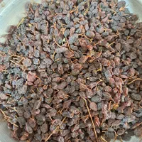 کشمش آفتابی|خوردنی و آشامیدنی|مشکین‌دشت, |دیوار