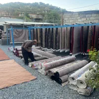 قالی شویی ملت