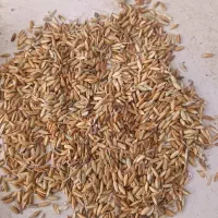 شریک سرمایه دار میخوام