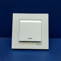 کلید و پریز دلند آسا