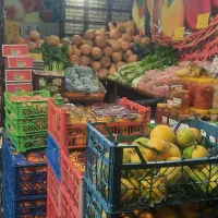 بسته بندی میوه و تره بار(ترجیحا سابقه دار)