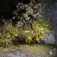 2000-باغ-ویلا