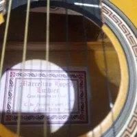 گیتار نوع نوع