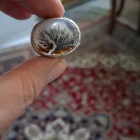 شجر تمام شبکه|کلکسیون اشیاء عتیقه|آفتاب, |دیوار