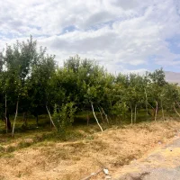 فروش تک قطعه ۲۱۰متر بر۱۰ اقساط۵ماهه جابان دماوند|فروش زمین و ملک کلنگی|دماوند, دماوند|دیوار