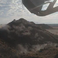 خرید فروش کود حیوانی|خدمات باغبانی و درختکاری|کوهدشت, |دیوار