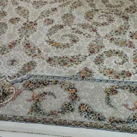 قالی ۱۲متری