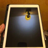 Ipad pro 9.7 cellular