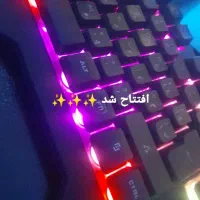 گیم نت فالکون