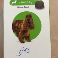 قرص ضد انگل