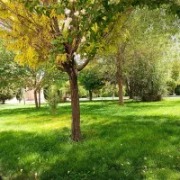 راهنمایی برای مشاوره