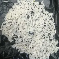 برنج طارم هاشمی کشت دوم 70 کیلو