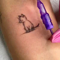 مدل تتو بدن رایگان|خدمات آرایشگری و زیبایی|شیراز, شهرک امیر کبیر|دیوار