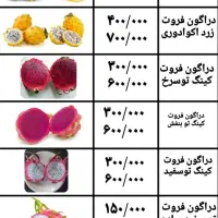 نهال پشن فروت و گواوا و انبه و موز و انواع استوایی|گل و گیاه طبیعی|ساری, |دیوار