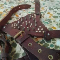 سینه بند|کیف، کفش، کمربند|لنجان, |دیوار