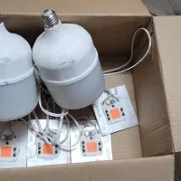 لامپ رشد گیاه|لامپ و چراغ|بجنورد, |دیوار