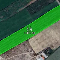 فروش باغ ۲۲ساله به متراژ تقریبا۶۰۰۰ هزارمتر