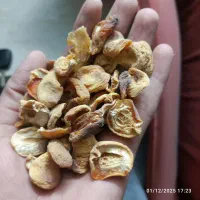 پره زردالو امسالی