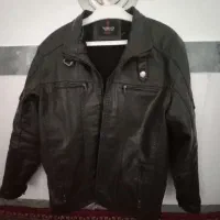 یک عدد کابشن پسرانه به فروش می‌رسد