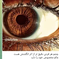 تشخیص وچکاب اعضائ بدن از نگاه ب عنبیه وزبان