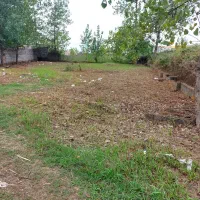 ۶۹۳ متر زمین ساحلی(دستک)