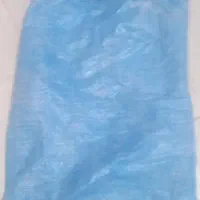 کیسه خالی  اردی وشکری