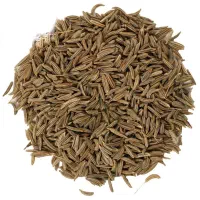 فروش گرمی و کیلویی زیره کوهی خوش عطر